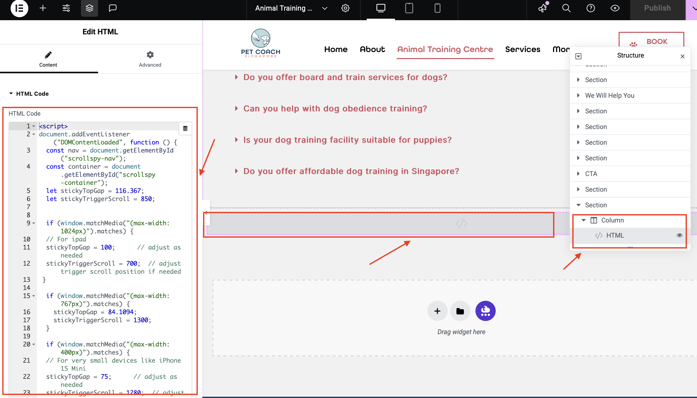 javascript at the bottom of teh elementor widget